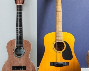 Как правильно выбрать гитару или укулеле: различия, трудности и поддержка принятия решений
