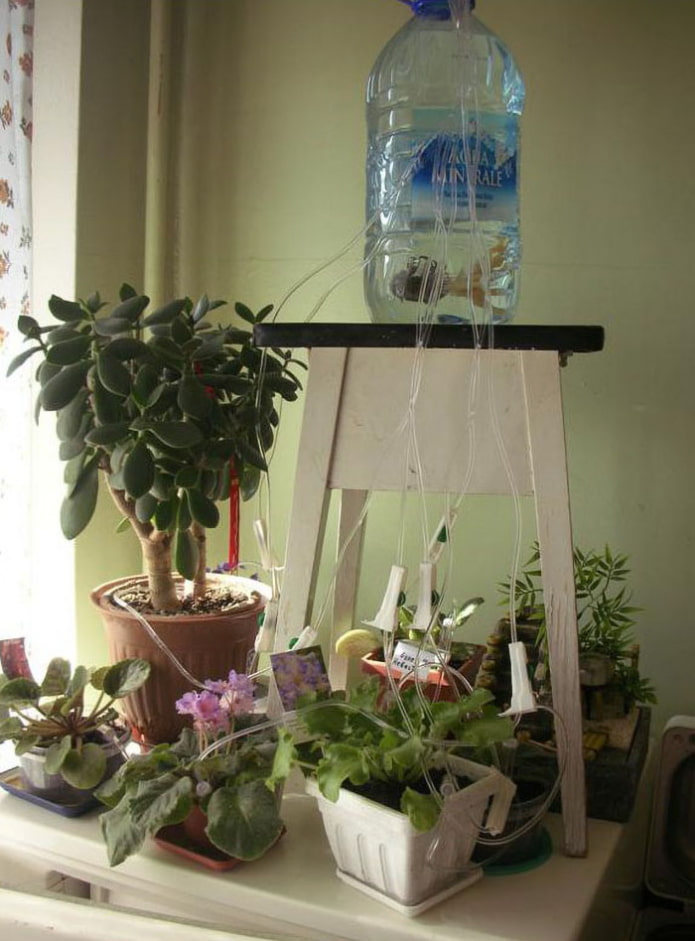 Как самостоятельно сделать автополив для комнатных растений?