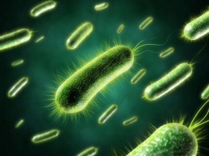 Бактерии для септиков «Доктор Робик»: советы при покупке и инструктаж по применению