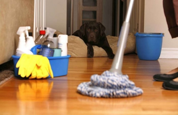 Как продезинфицировать квартиру: война с «нечистью» в домашних условиях