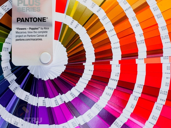 





Цветовые палитры Pantone, RAL и NCS: зачем нужны и чем отличаются



