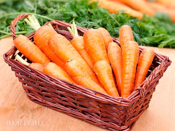





Все способы хранения моркови зимой



