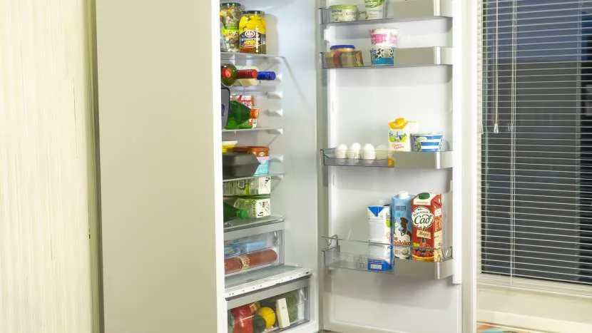 Рейтинг холодильников для дома: ТОП-18 лучших надежных моделей на рынке РФ